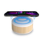 Hampton 15W Wireless Charging Speaker (Stock)