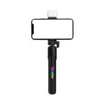 Reunion LED Selfie Stand